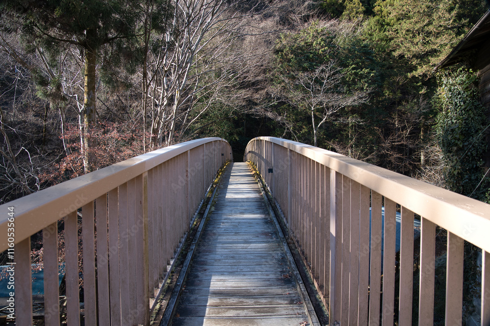 Fototapeta premium Pedestrian bridge in the mountains of Japan