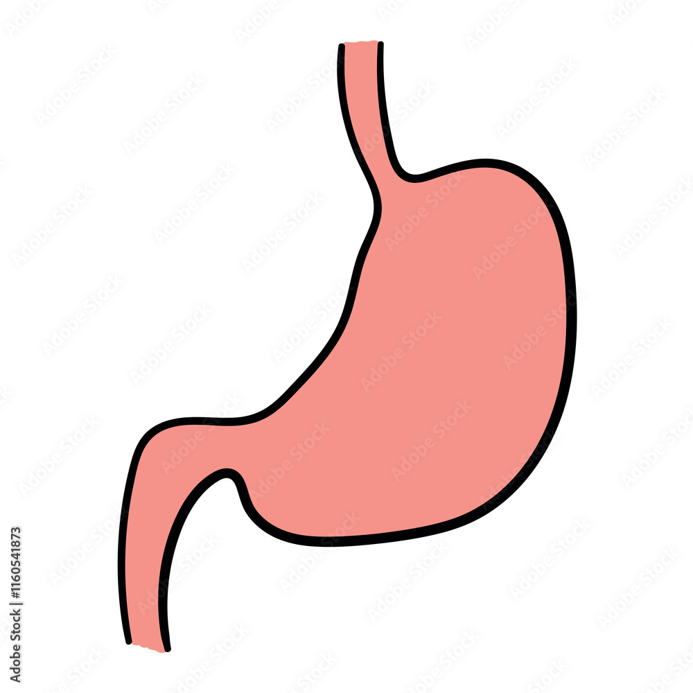Obraz premium Hand drawn cartoon human stomach internal organ on white background.