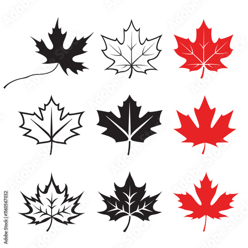 set of maple leaf vector illustration