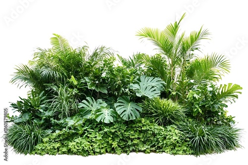 Lush tropical foliage, including palm trees and monstera deliciosa, creates a vibrant green paradise, isolated against a white backdrop, offering a refreshing and exotic touch