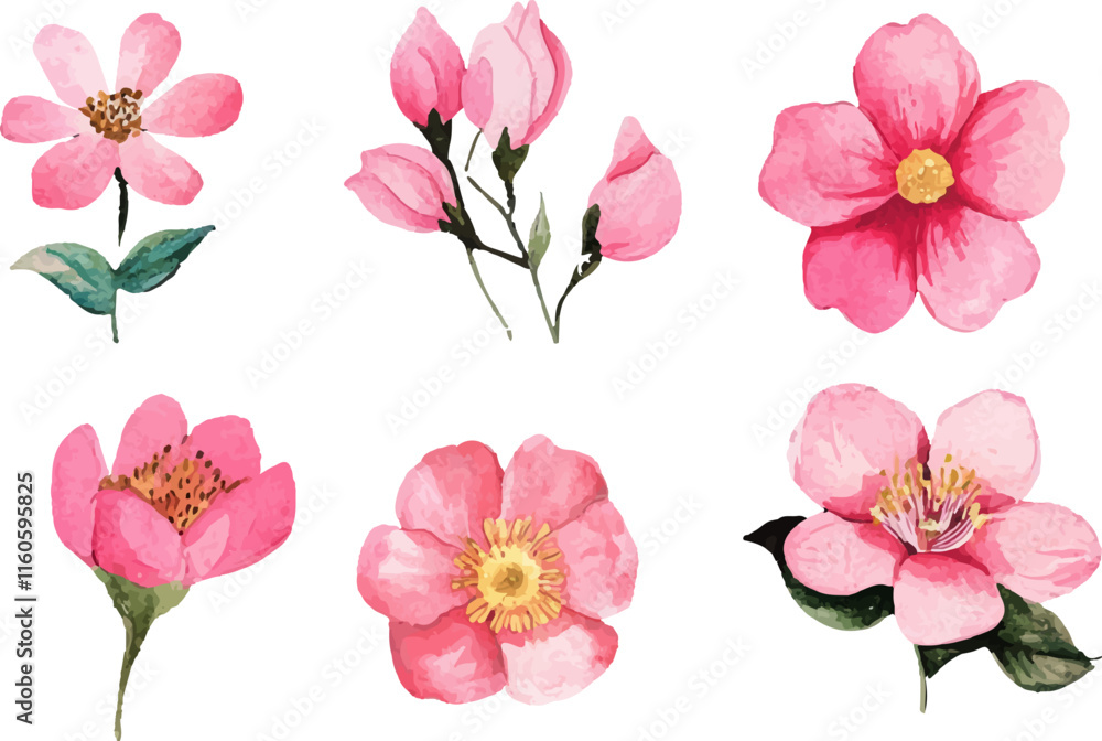 Fototapeta premium set of pink flowers