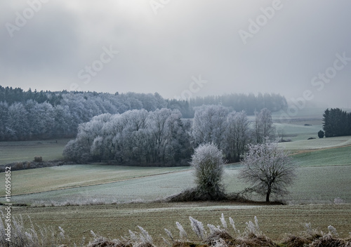 Landschaft an einem frostigen Wintertag