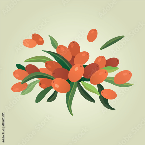 Group of sea ​​buckthorn berries