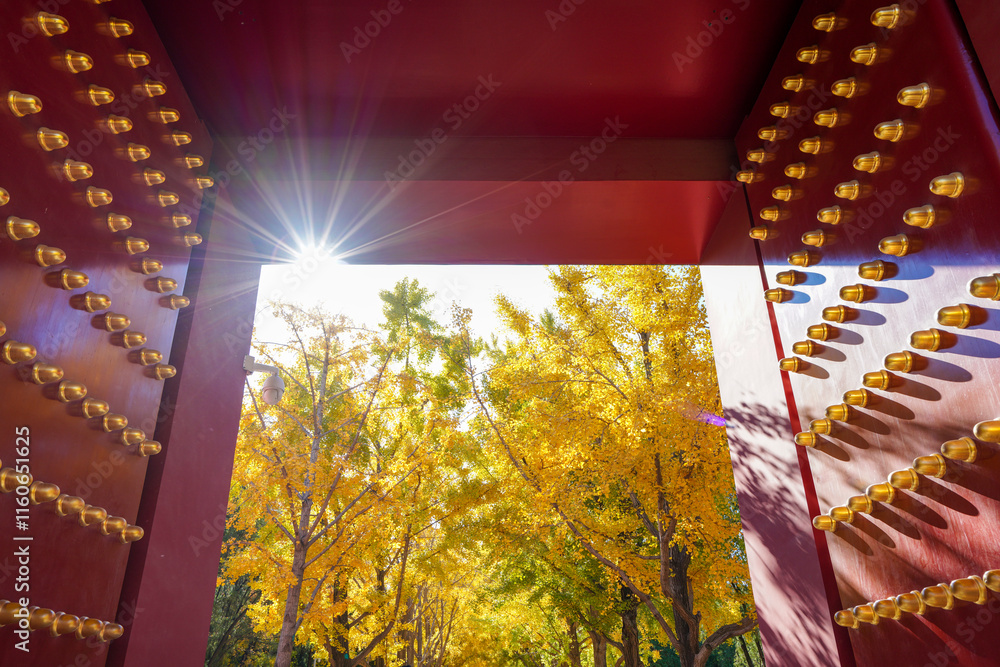Beijing Ditan Park Palace Gate and Ginkgo Leaf