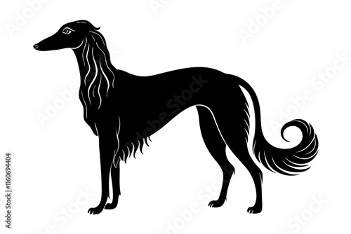 Elegant Borzoi Dog Silhouette with Long Narrow Head and Flowing Fur photo