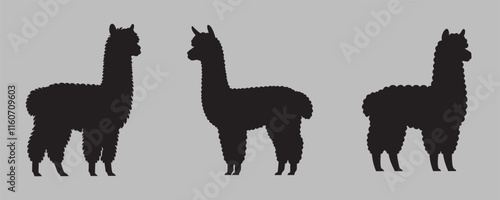 Silhouettes of three alpacas with unique wool patterns on a gray background