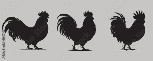 Three Bantam chicken silhouettes with distinctive combs and flowing tail feathers on a gray background