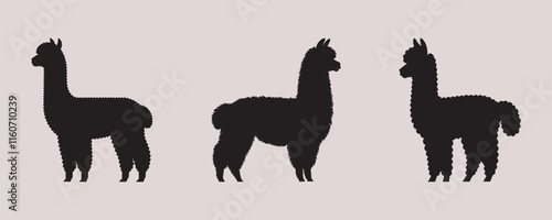 Three alpaca silhouettes with varied wool textures on a plain gray background