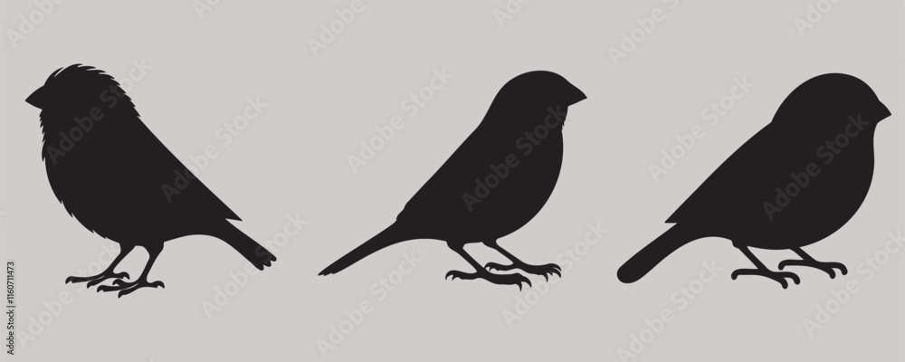 Three canary bird silhouettes in clean side profiles, featuring minimalistic black designs on a neutral background Three canary bird silhouettes in clean side profiles, featuring minimalistic black designs on a neutral background