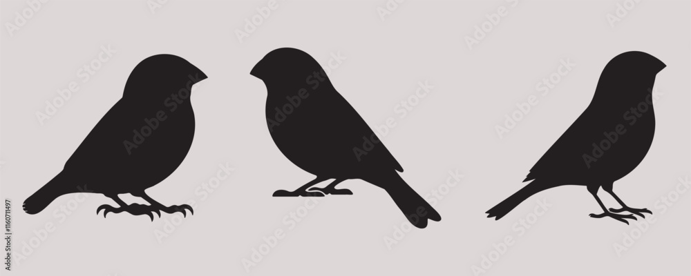 A set of three canary bird silhouettes in side profile, showcasing sleek, minimalistic designs on a light background A set of three canary bird silhouettes in side profile, showcasing sleek, minimalistic designs on a light background
