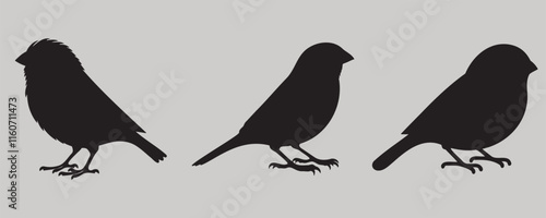 Three canary bird silhouettes in clean side profiles, featuring minimalistic black designs on a neutral background