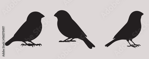 A set of three canary bird silhouettes in side profile, showcasing sleek, minimalistic designs on a light background