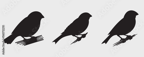 Set of three canary bird silhouettes in side profile, featuring clean and minimal designs on a light background