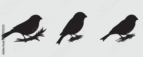 Trio of elegant canary bird silhouettes in side profile, showcasing minimalistic and clean designs on a light background
