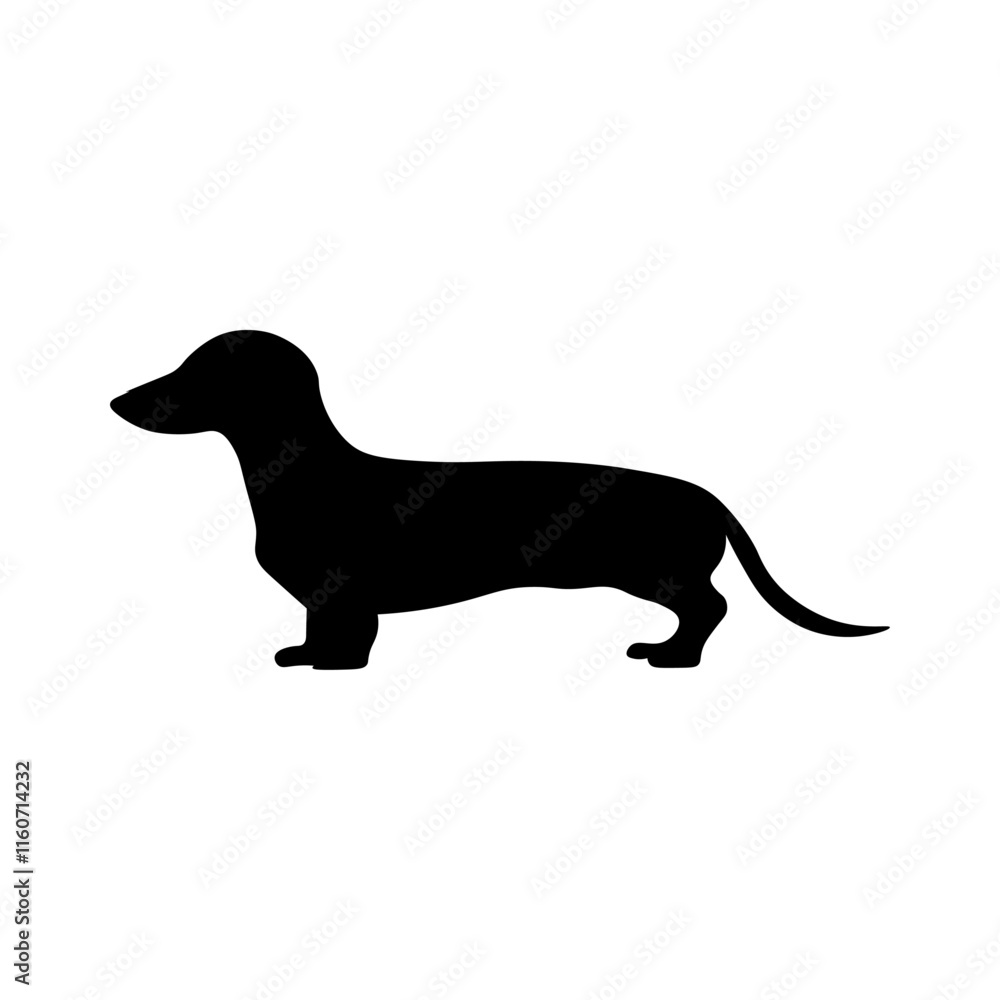 Dog silhouette isolated on white background. Dachshund silhouette 9 Dog silhouette isolated on white background. Dachshund silhouette 9