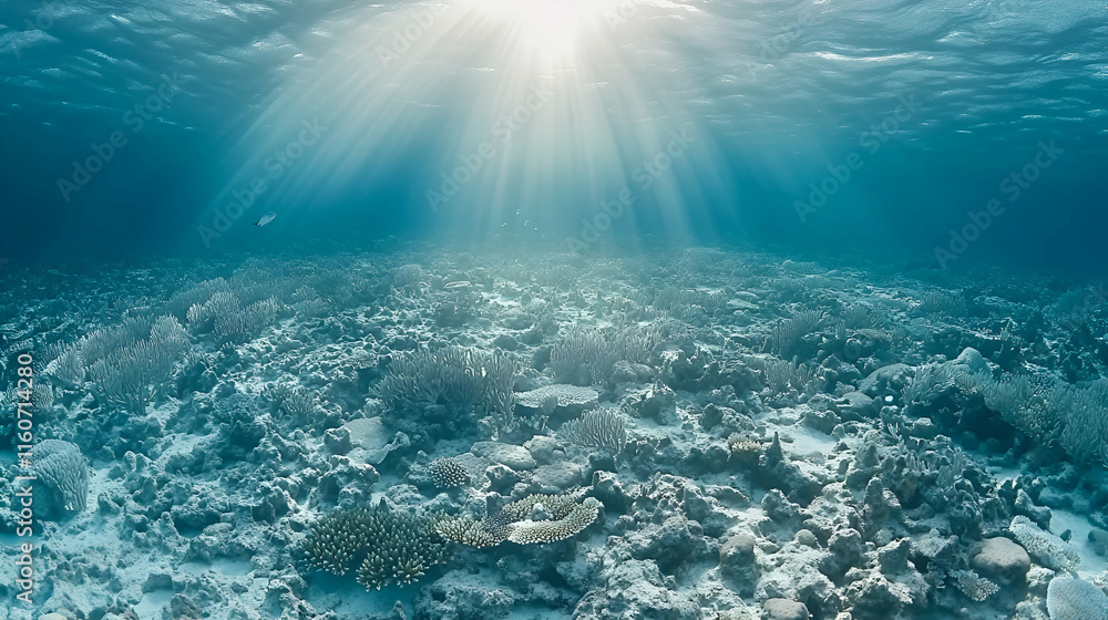 Sunbeams Illuminate Vibrant Coral Reef, Aquatic Life Thrives Below Surface, Peaceful Ocean Scene Sunbeams Illuminate Vibrant Coral Reef, Aquatic Life Thrives Below Surface, Peaceful Ocean Scene