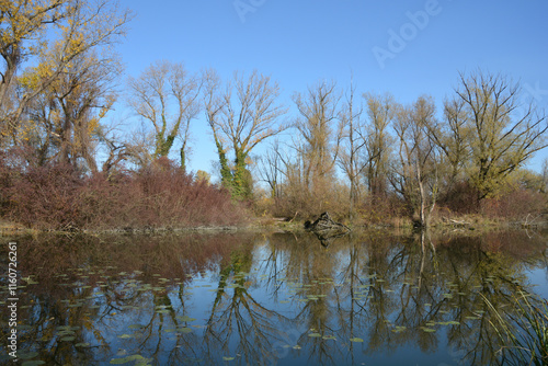 Fotografi A serene autumn scene in the protected landscape and ornithological reserve Savi