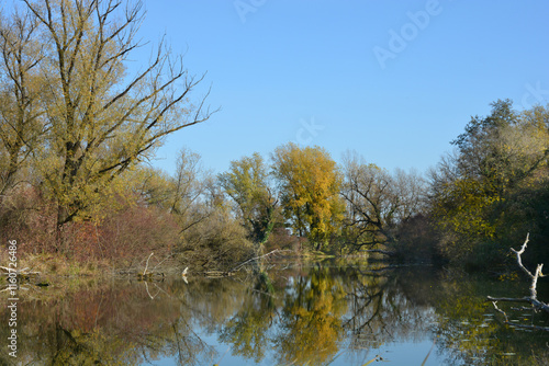 A serene autumn scene in the protected landscape and ornithological reserve Savica in Zagreb, with trees in autumn colors reflecting in the calm water under a clear blue sky photo