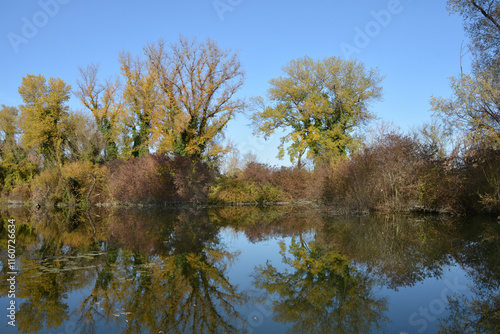 Photography A serene autumn scene in the protected landscape and ornithological reserve Savi