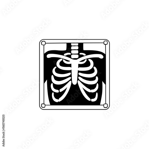 X-ray
