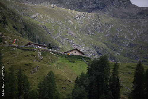 Scenic summer landscape of the Alps near Pfelders, featuring lush green meadows, rugged mountain peaks, and clear blue skies. photo