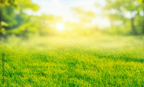 Fototapeta Naklejka Na Ścianę i Meble -  Beautiful blurred background image of spring nature with a neatly trimmed lawn surrounded by trees against sky on a bright sunny day.