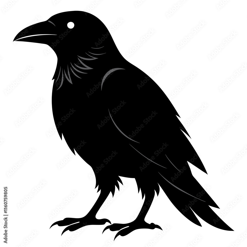 Fototapeta premium Common Raven silhouette vector style printable png