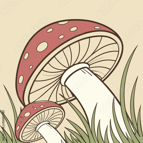 mushrooms in grass