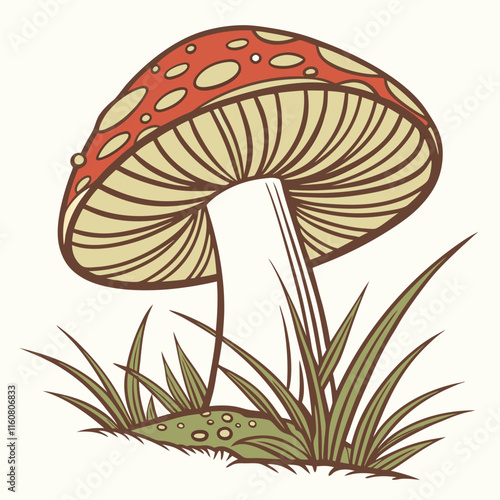 mushrooms in the grass