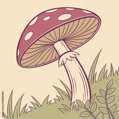 mushroom in the grass