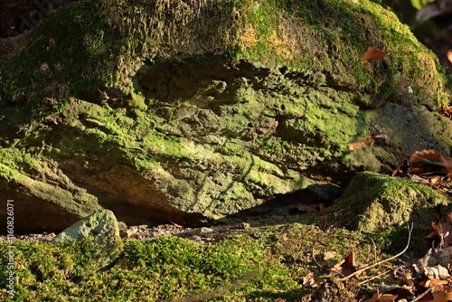 Bemooster Felsen im Habichtswald photo