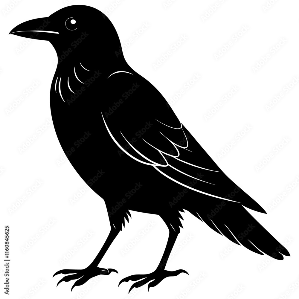 Fototapeta premium crow on a white background
