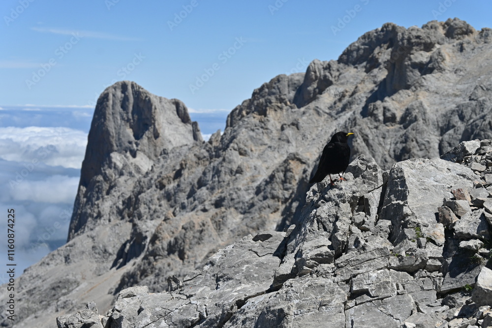 Rocky mountains with clouds sea in Picos de Europa Spain with Urriellu Naranjo de Bulnes Rocky mountains with clouds sea in Picos de Europa Spain with Urriellu Naranjo de Bulnes