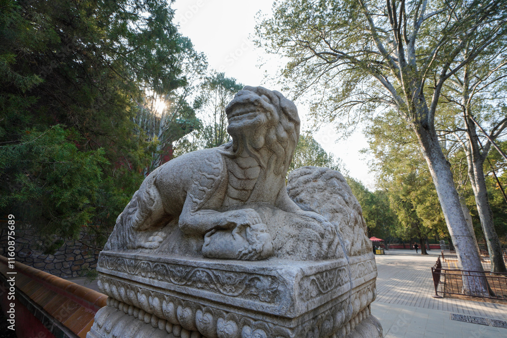 Divine Beast Stone Carving in Summer Palace, Beijing
