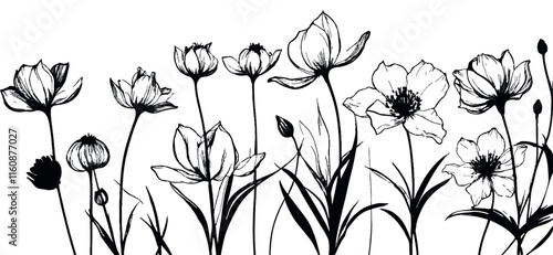 Elegant botanical line art illustration featuring delicate floral elements.