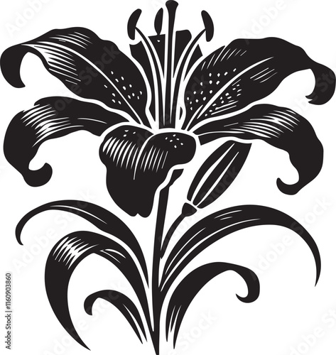 Black and white lily