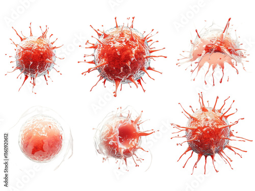 Vibrant  Cells with Unique Structures Isolated on transparent background