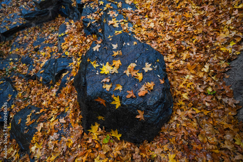 Early Winter Scenery at the North Foot of Wanshou Mountain in Summer Palace