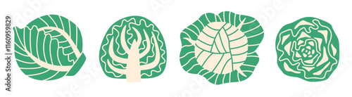 Flat style illustration of cabbage in different views: whole, halved, cross-section, and top-down. Clean and minimal design ideal for food, nutrition, and cooking projects.