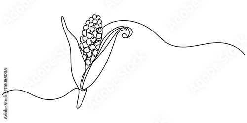 Maize ear in continuous line art drawing style. Corn cob black linear sketch isolated on white background. Vector illustration, Continuous one line drawing of corn icon in silhouette on a white back. 