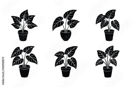 Arrowhead Plant (Syngonium podophyllum) design, labeled silhouette vector art illustration.