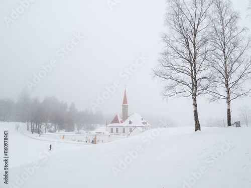 Gatchina Priory Palace in winter