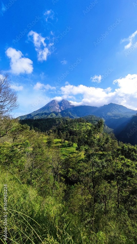 Obraz premium bright morning at the foot of mount merapi