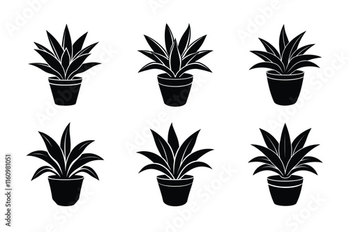 Bromeliad (Bromeliaceae) design, labeled silhouette vector art illustration.