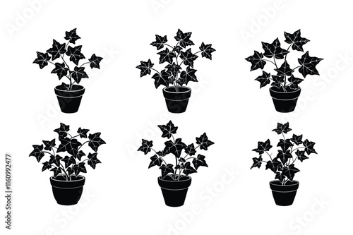 English Ivy (Hedera helix) design, labeled silhouette vector art illustration.