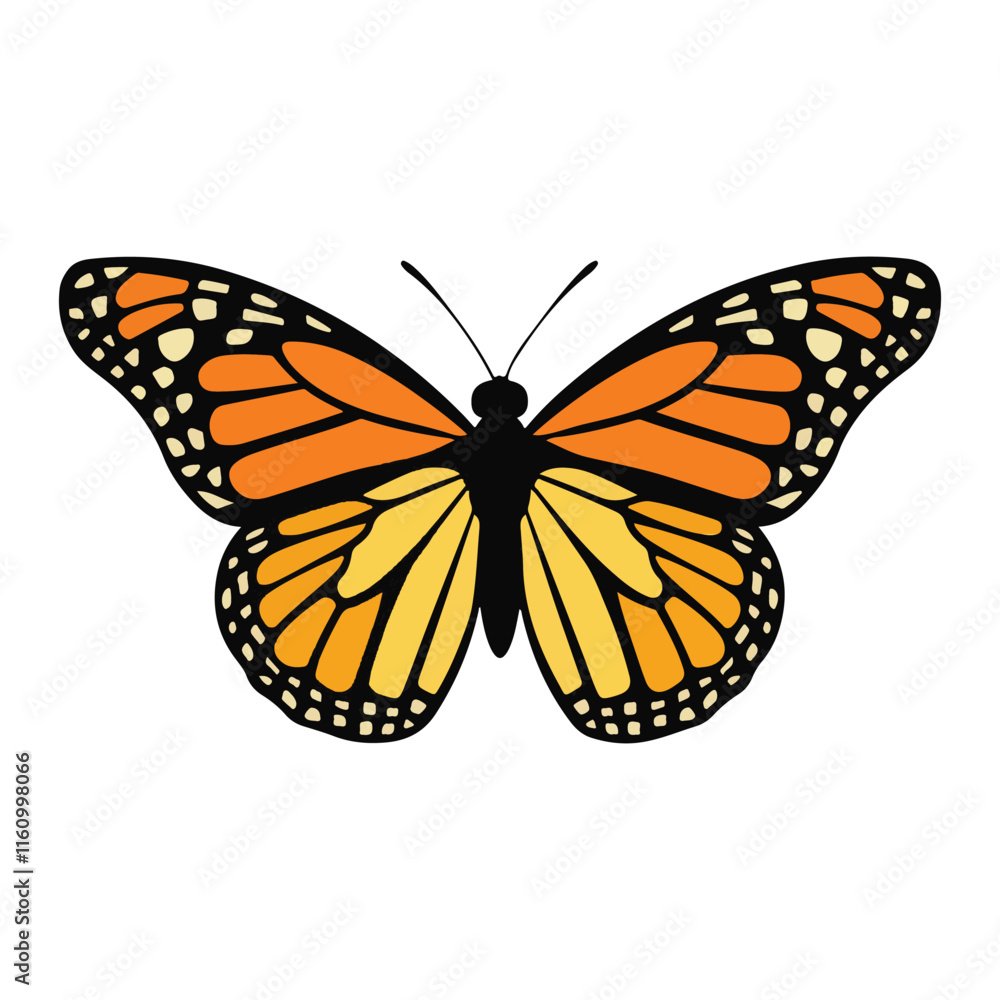 Fototapeta premium Monarch butterfly vector illustration