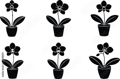 Orchid (Orchidaceae) design, labeled silhouette vector art illustration.