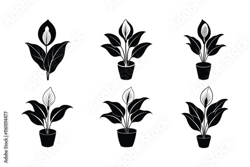Peace Lily (Spathiphyllum) design, labeled silhouette vector art illustration.