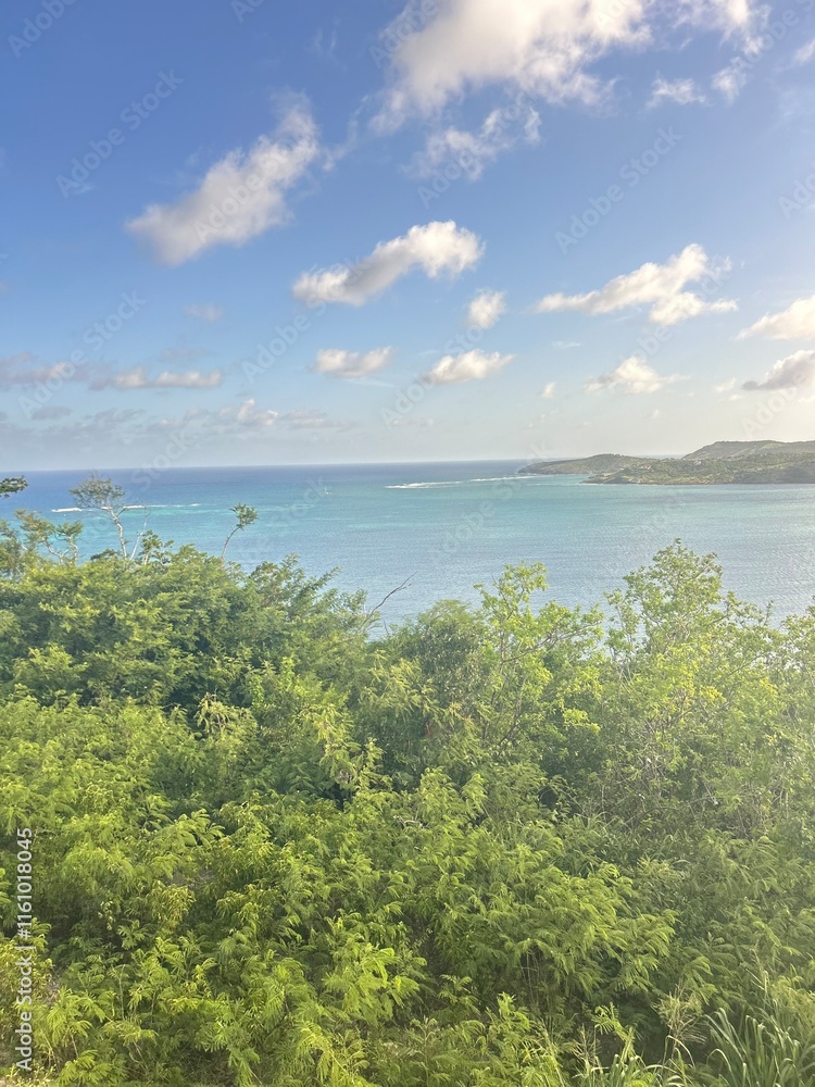 View ocean on a Hill 