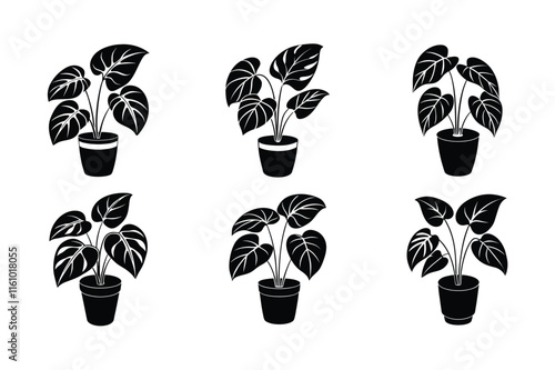 Philodendron (Philodendron hederaceum) design, labeled silhouette vector art illustration.